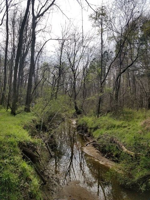 Big Rock Nature Preserve